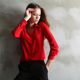 Brand Pullover Blouse Shir